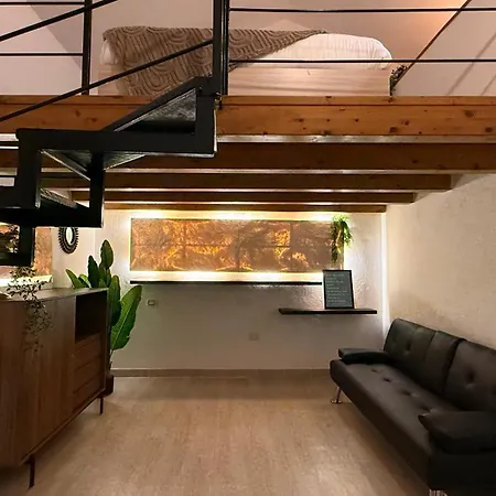 Mirror House Luminoso Con Terrazze Διαμέρισμα *