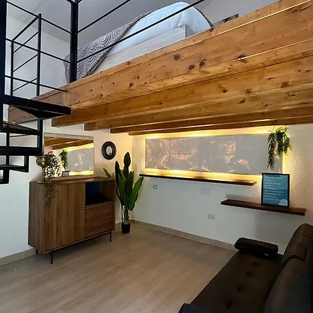 Mirror House Luminoso Con Terrazze Apartman *